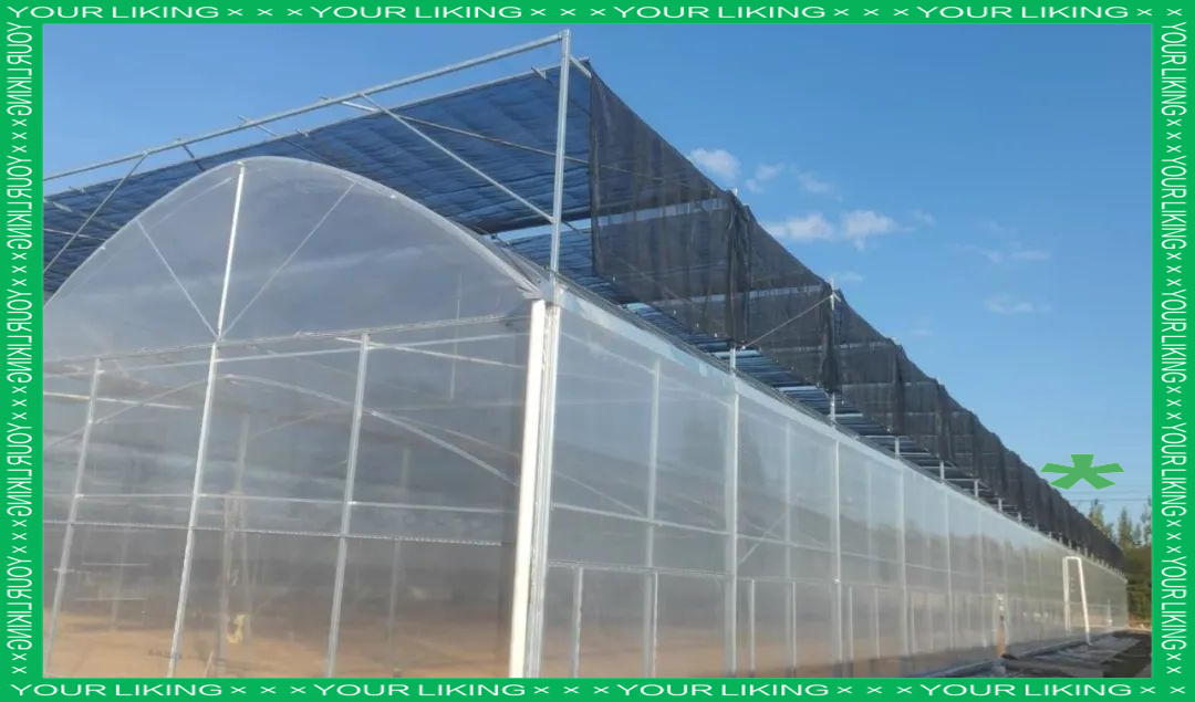 連棟薄膜溫室大棚項目火熱施工中，大棚薄膜技術助力現代農業