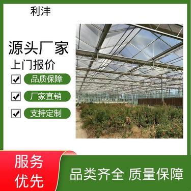 江蘇無土栽培大棚 薄膜選用的關(guān)鍵技術(shù)與未來趨勢