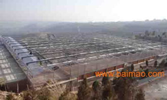 甘肅溫室大棚設計新趨勢 黃河金屬制品引領行業變革